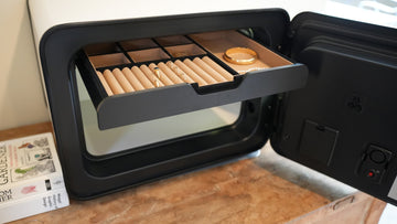 Best Jewelry Safes 2026