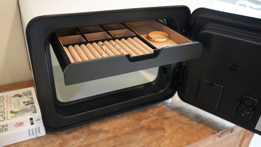 Best Jewelry Safes 2026