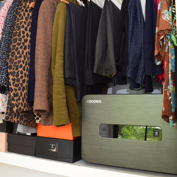 The Apartment Friendly Safe