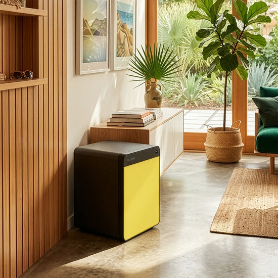 Cocono Chroma 40 medium safe in lemon in a Florida living room